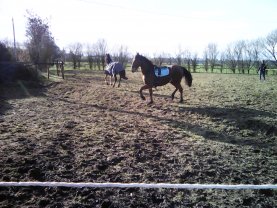 Location jardin potager